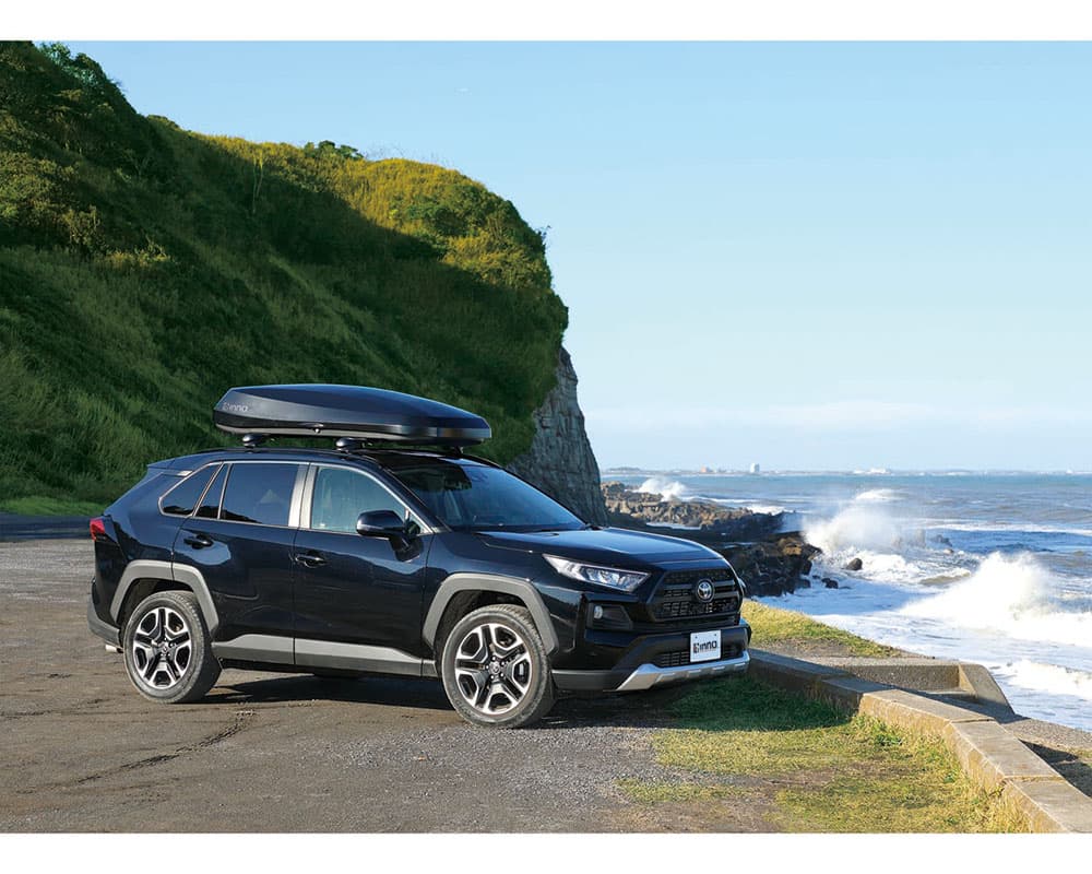 Inno BRM2020ST Cargo Box 4